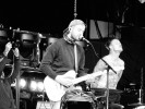 Feine Sahne Fischfilet bei Rock am Ring (2019)